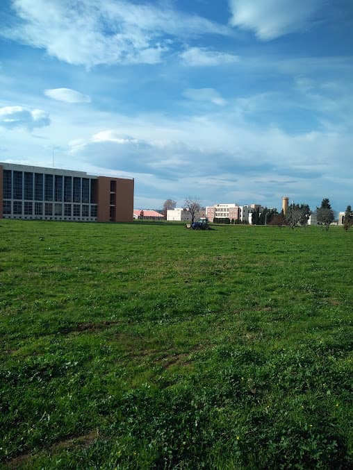 Gebze Teknik Üniversitesi